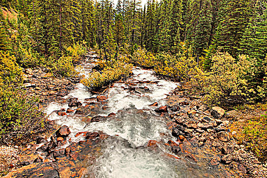 溪流,湖,道路,班芙国家公园,艾伯塔省,加拿大