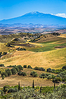 农田,埃特纳山,背景,靠近,西西里,意大利