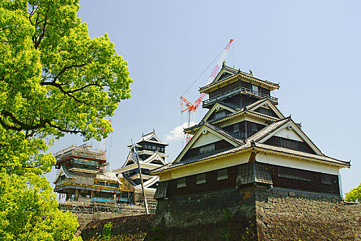 2022春节大年初一拜年祝福语句子大全 虎年拜年吉祥话简短