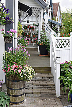 开花植物,木质,种植器皿,脚,台阶,阳台,白色,栏杆