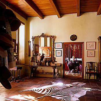 门廊,南非,房子,地毯,赤陶,地面,入口,客厅