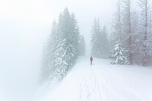 滑雪,远足,国家公园,奥地利