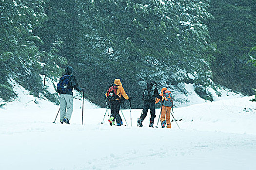 越野滑雪,雪中