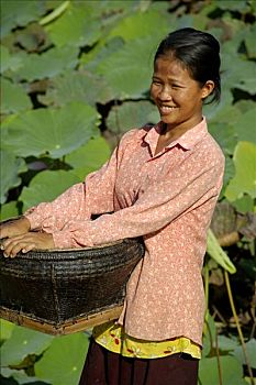 微笑,高棉人,女人,站立,篮子,荷花,靠近,柬埔寨