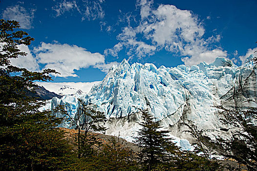 莫雷诺冰川,靠近,卡拉法特,阿根廷
