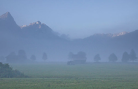 风景,晨雾,太阳,山峰,奥地利,提洛尔,阿尔卑斯山,埃尔瓦尔德