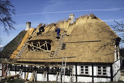 工作,芦苇,屋顶,房子,岛屿,丹麦