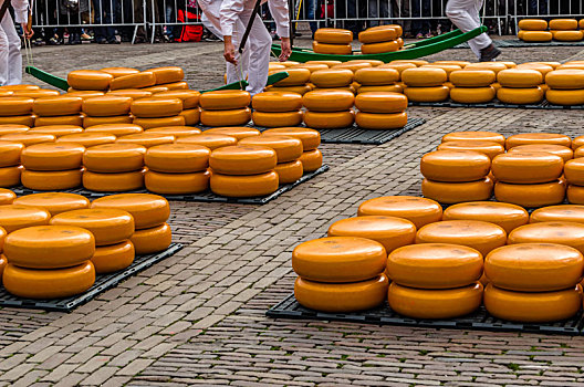 传统,荷兰,奶酪,市场,阿克马镇