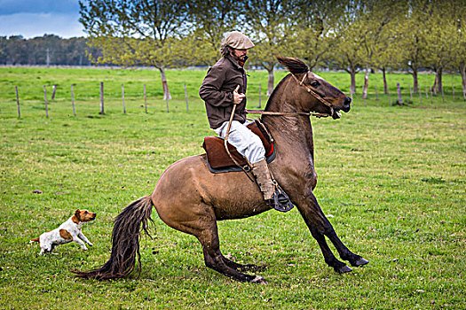 男人,骑马,坎德拉里亚,蒙特卡罗,圣米格尔,阿根廷