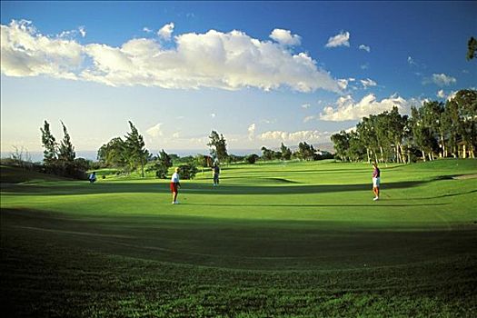 夏威夷,瓦克拉,乡村,高尔夫球场,9号洞,女人,男人,旗帜