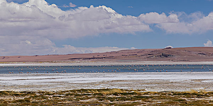 风景,盐滩,国家级保护区,佩特罗,阿塔卡马沙漠,省,安托法加斯塔大区,智利