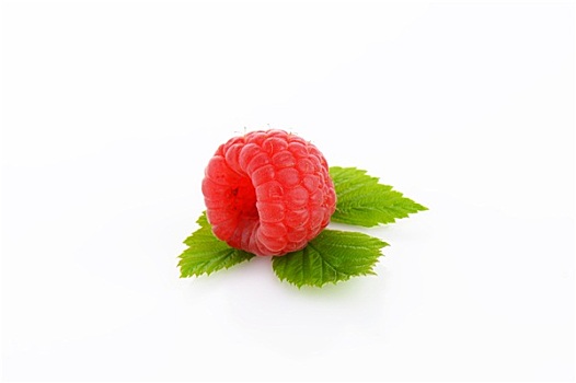 新鲜,树莓,白色背景,背景