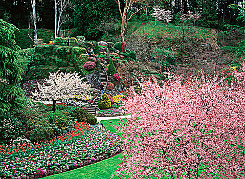 宝翠花园,区域,维多利亚,温哥华岛,不列颠哥伦比亚省,加拿大