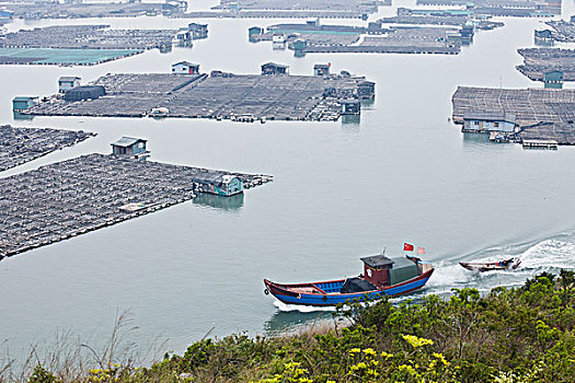 福建,霞浦,滩涂,海洋,养殖,渔民,网箱,竹排,水上人家,房子,居住,生活,渔船,交通,海带,紫菜,生产,产地