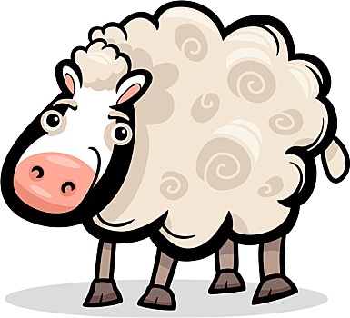 绵羊,家畜,卡通,插画