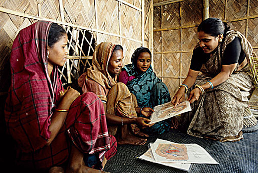 关注,健康,工作,卫生,安全,母性,乡村,女人,孟加拉