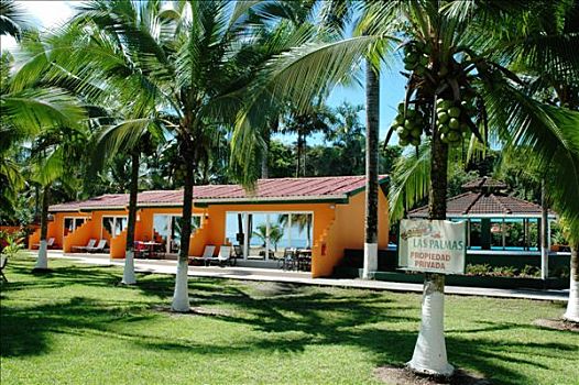 酒店,加勒比海,海岸,哥斯达黎加