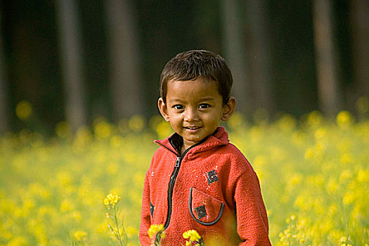 头像,孩子,孟加拉,一月,2008年