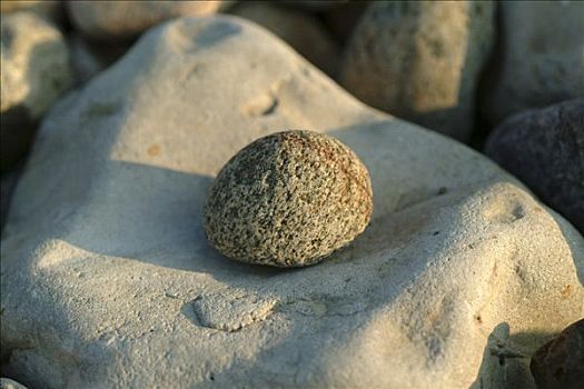 石头,海滩,波罗的海,德国