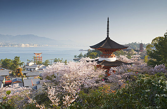 塔,严岛神社,鸟居,五个,故事,远景,宫岛,廿日市,广岛,本州,日本