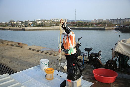山东省日照市,渔家大嫂清晨5点赶到渔码头,开启新一天的接海模式
