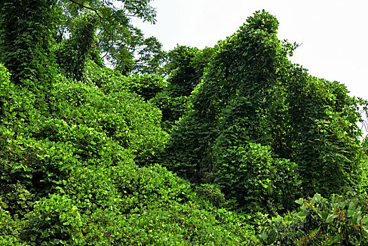 河北省石家庄平山县藤龙山风景区