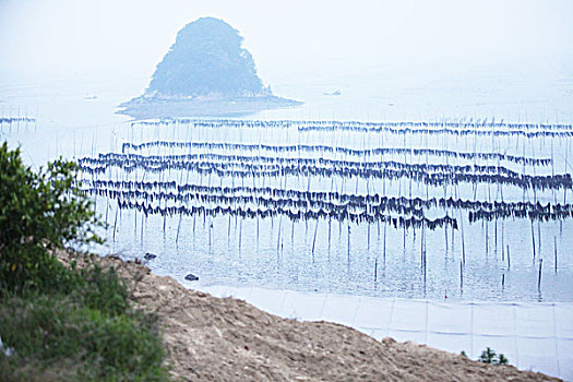 福建,霞浦,滩涂,海洋,海岛,云雾,云海,梦幻,海市蜃楼,朦胧