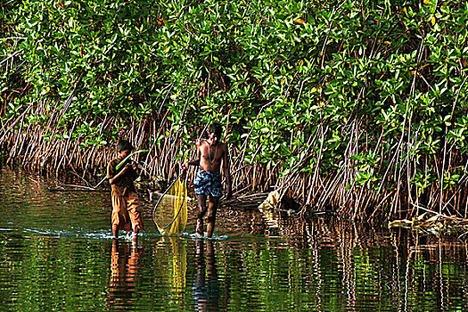 渔民,儿子,走,浅,水,泻湖,抓住,鱼,斯里兰卡,七月,2005年