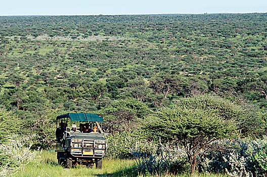 汽车,大草原,地平线,纳米比亚