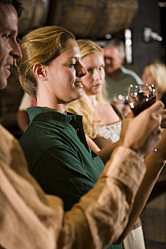 人群,检查,葡萄酒,葡萄酒厂,旅游,味道