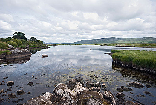 河,海岸线,康纳玛拉,国家公园,戈尔韦郡,爱尔兰