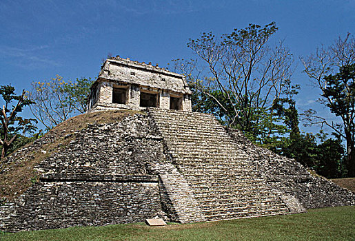 仰视,古遗址,庙宇,帕伦克,玛雅,恰帕斯,墨西哥