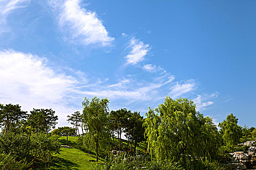 中国园林草地树林蓝天白云