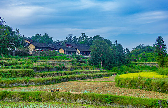 矮寨景区