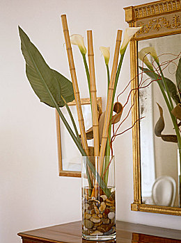 植物,叶子,竹子,百合,玻璃花瓶