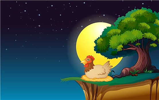 母鸡,坐,树,夜晚
