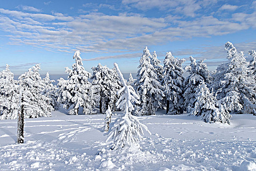 冬天,顶峰,布罗肯,哈尔茨山,萨克森安哈尔特,德国