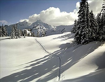 滑雪道,滑雪坡,山脉,雷尼尔山国家公园,华盛顿,美国