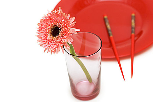 红花,盘子,筷子,隔绝,白色背景