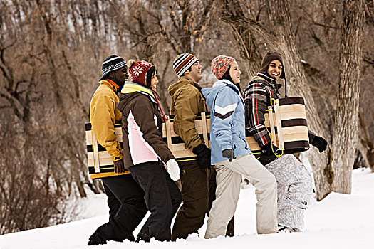 五个,年轻人,木质,雪橇,雪