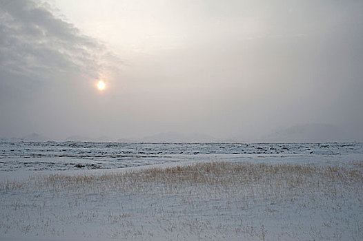 熔岩原,路线,米湖,区域,北方,冰岛