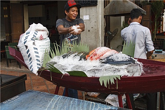 准备,鱼肉,展示