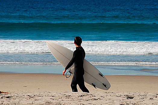 年轻,冲浪,波浪,海岸,圣地亚哥,加利福尼亚