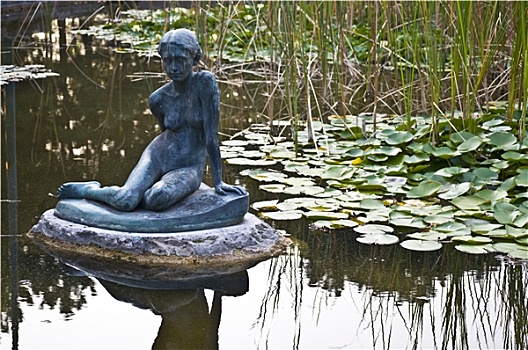 水塘,雕塑,荷花,玛格丽特岛,布达佩斯