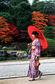 日本,女人,和服,走,庙宇,花园,红色,伞