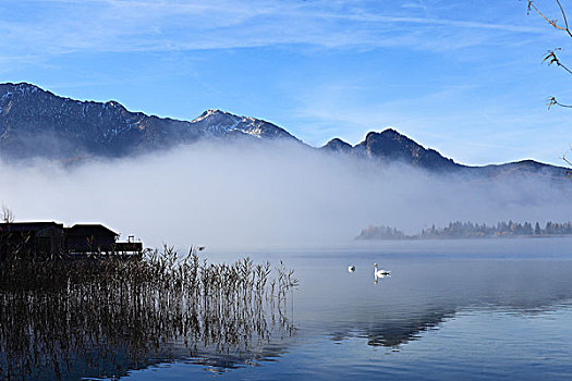 科赫尔湖,湖,晨雾,背影,上巴伐利亚,巴伐利亚,德国,欧洲
