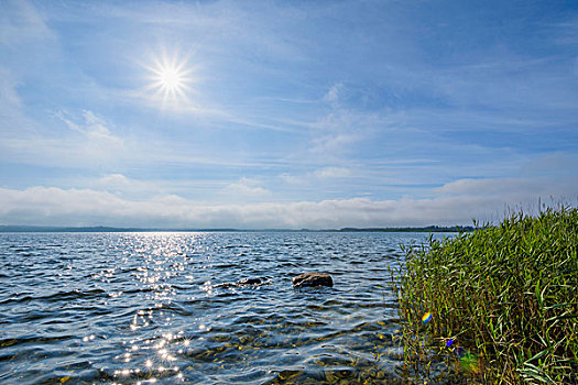 湖,太阳,夏天,北方,日德兰半岛,丹麦