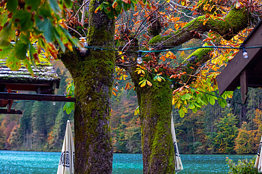 德国美丽的国王湖湖边的餐厅与洋伞