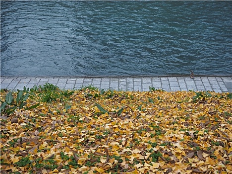 河岸,秋天
