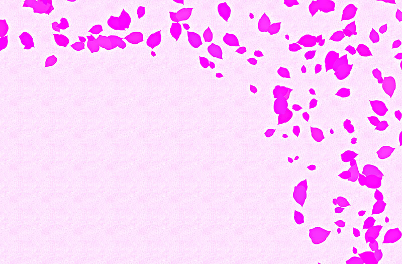 紫红色花瓣背景